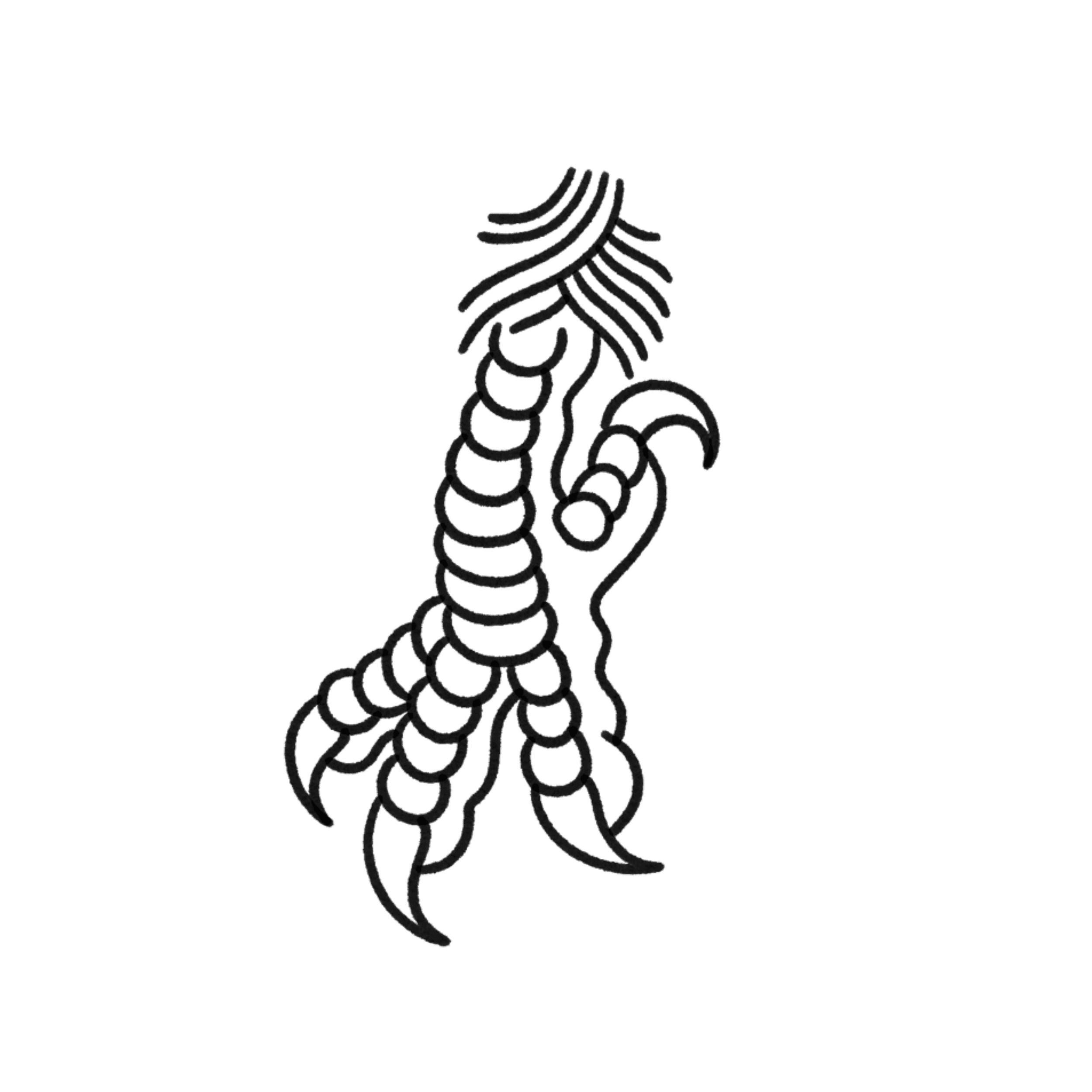 Patte D'aigle